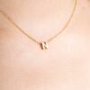 N mini Initial necklace 819 pic 2